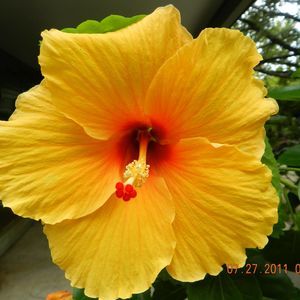 Meet your Posher, Lora